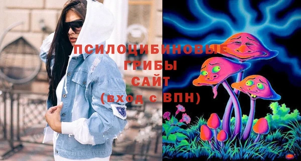 хмурый Горняк